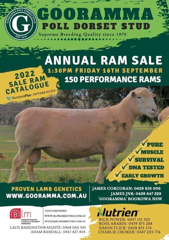 Gooramma Ram Sale 16 Sep 1:30pm