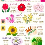 お部屋に花を飾りたいときなどの参考になりそう!「季節の花」のまとめ!