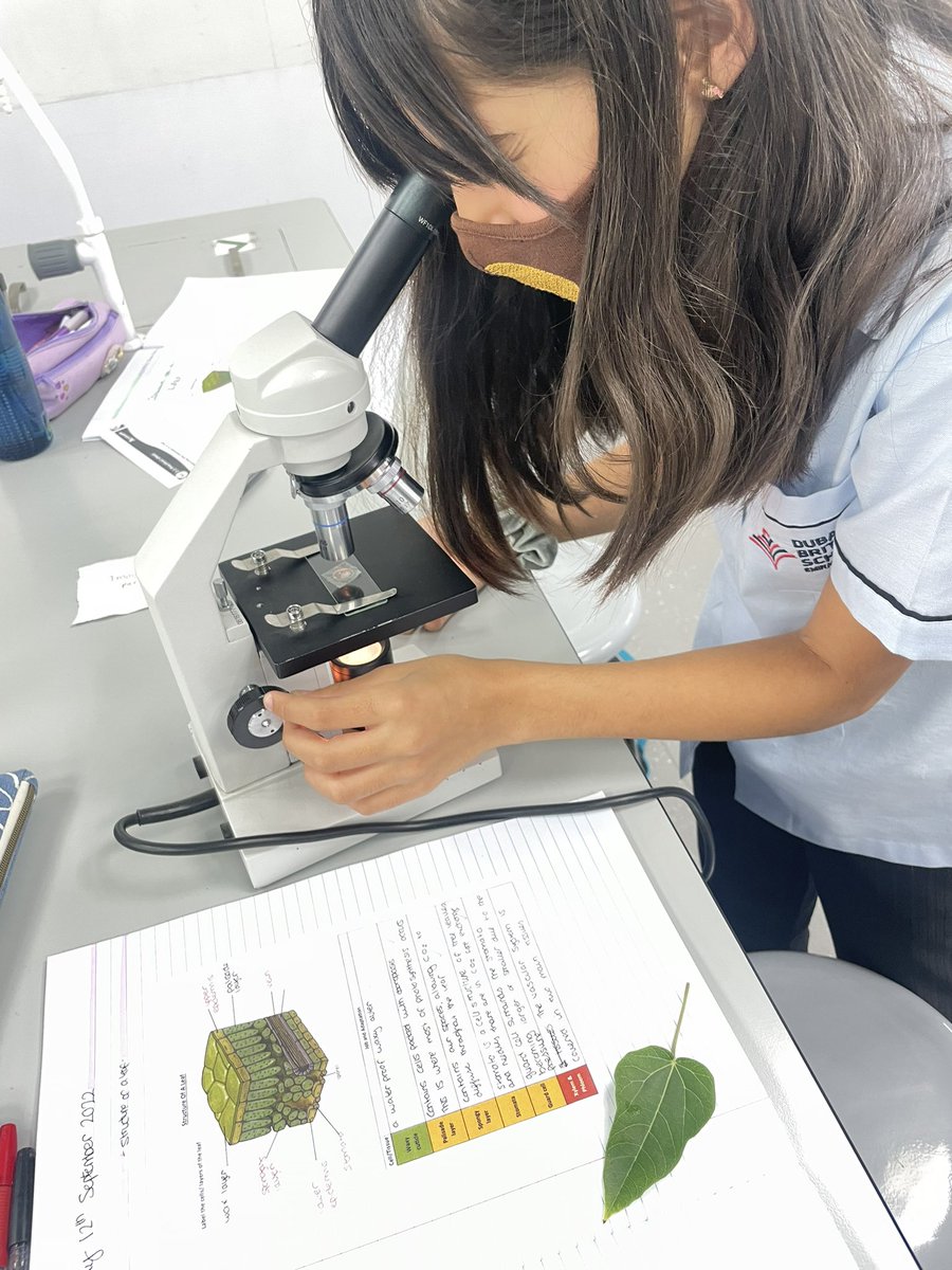 Science | Dubai British School tweet media