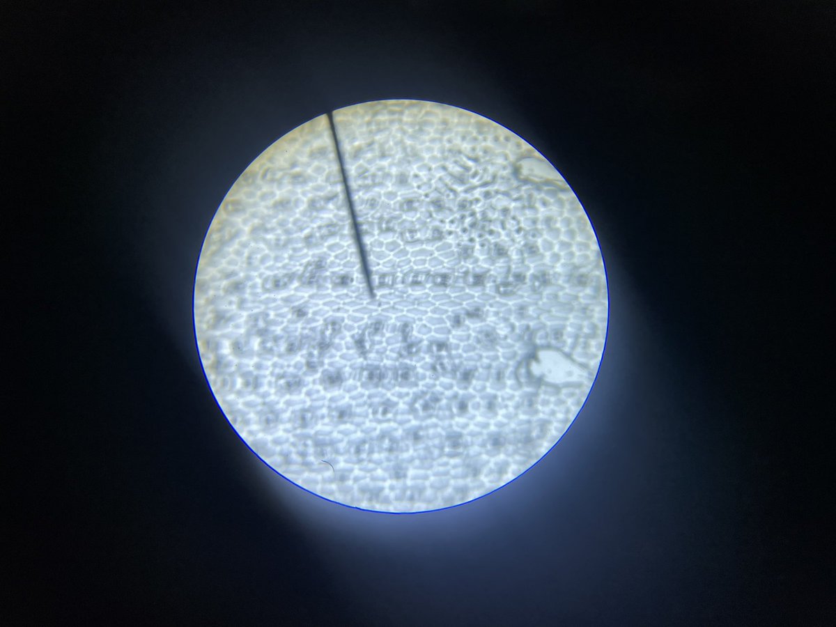 Science | Dubai British School tweet media