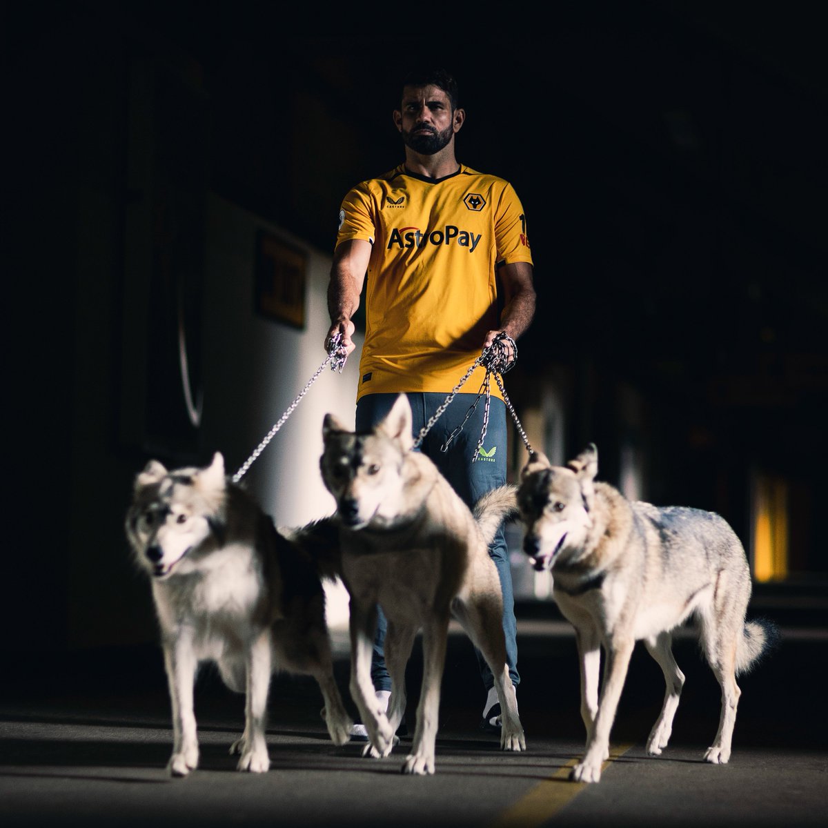 Wolves's tweet photo. What an entrance. 🐺🐺🐺 https://t.co/VQ6NdzXG9d