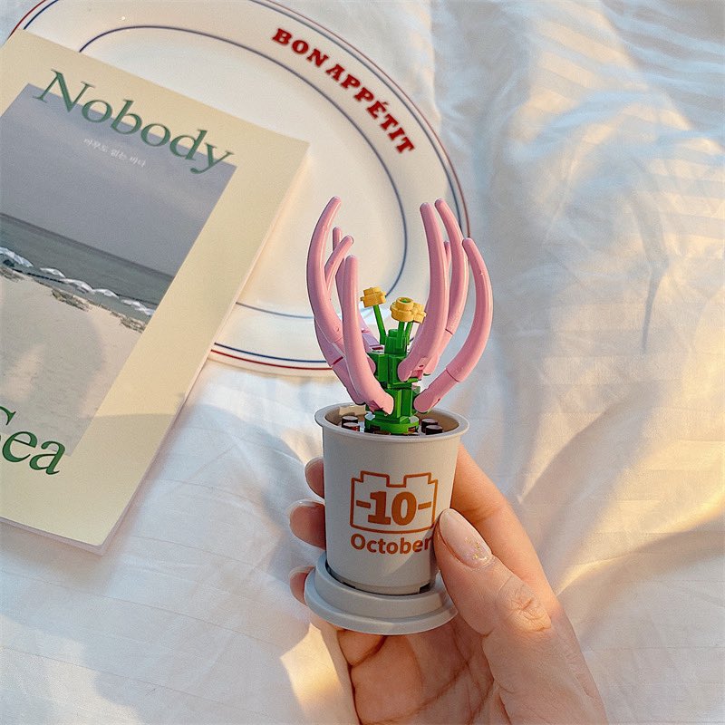 coconutsummer1's tweet photo. 🌵September                 🌷October https://t.co/u5deA2A8sx