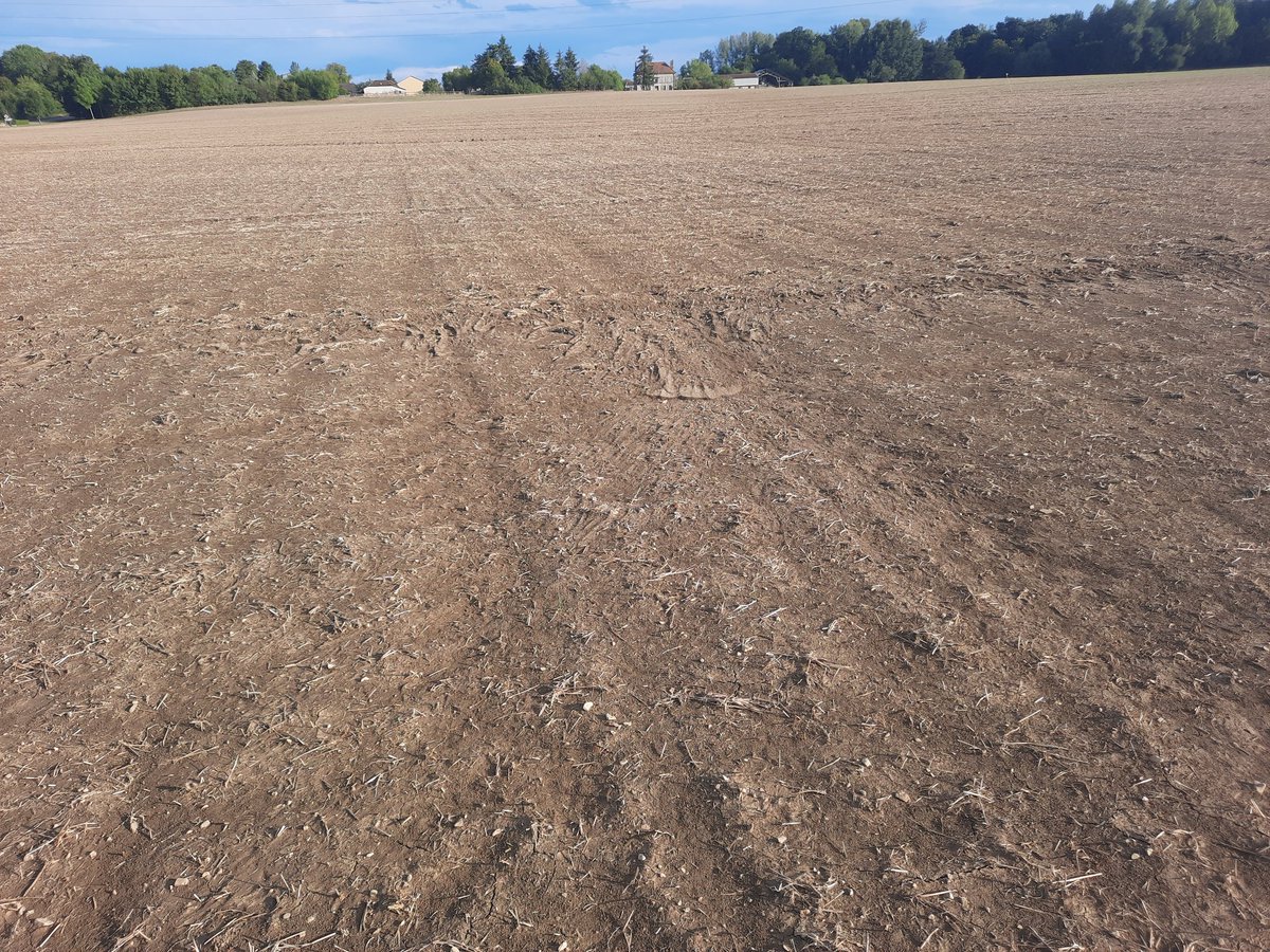 Marie MEYSSON tweet media