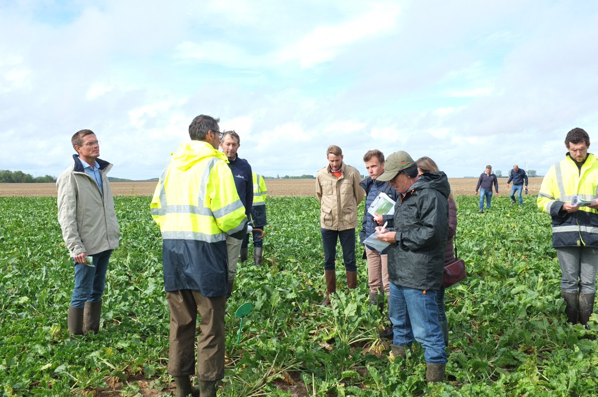 ITBetterave's tweet photo. Les visites des Fermes Pilotes d'Expérimentations du #PNRI se poursuivent ! La région NPC-Picardie et la Région Aisne ont présenté les essais plantes compagnes, variétés, bandes fleuries et insectes auxiliaires.

📆Venez à votre tour visiter une FPE : https://t.co/wNbUoeaNzX https://t.co/tWC3ywEOnA