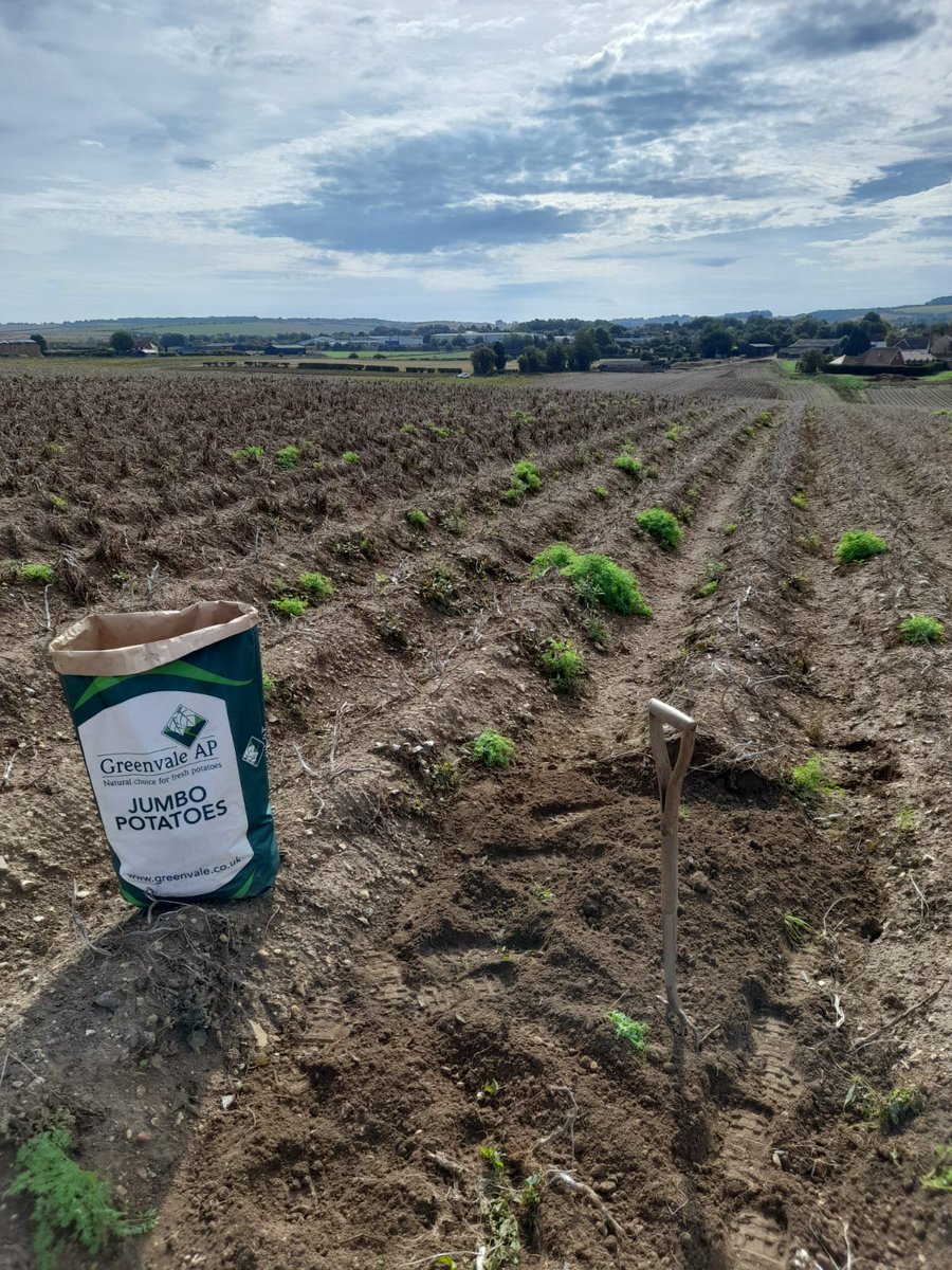 neilbarnes40's tweet photo. Why do I always decide to dig as far away from the car as I possibly can 🤦‍♂️🥔🚶 https://t.co/jz4zRHHo7l
