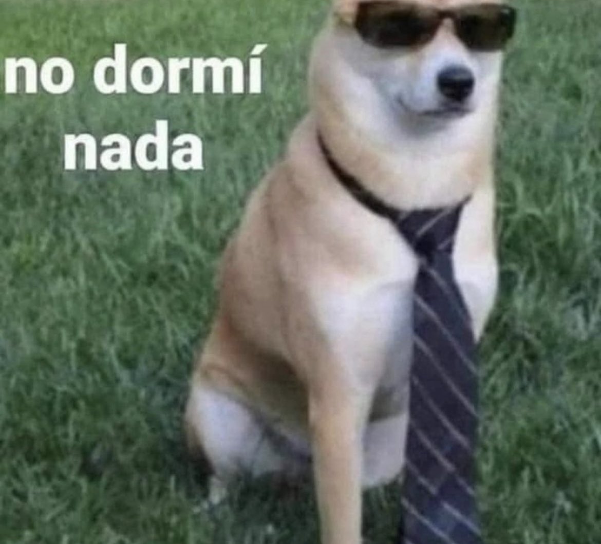 Musou_Oficial's tweet photo. ¡Buenos días por la tarde!😴

¿Como os va el lunes? 🥱 https://t.co/ShIekydfBK