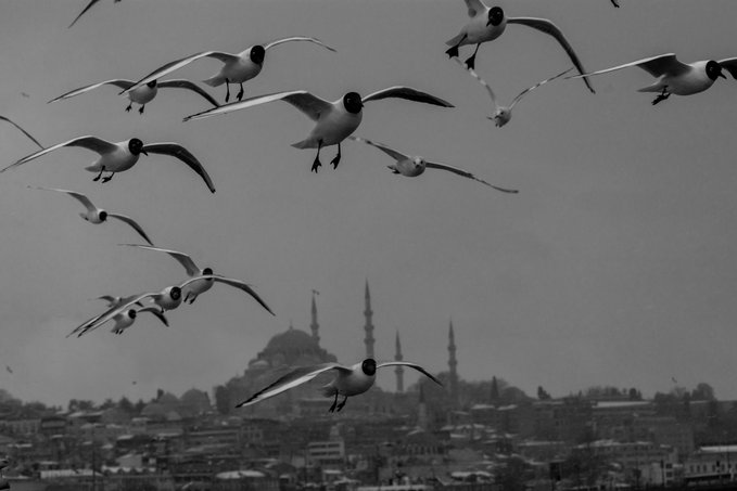 luisdoge7's tweet photo. Good afternoon! ✨

📍İstanbul, Türkiye

#NFTCommunity #NFTs #nftphotography https://t.co/VfYEQgbo9g