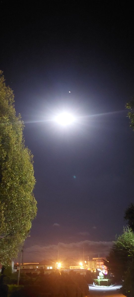 ROMELVC26's tweet image. Luna.....