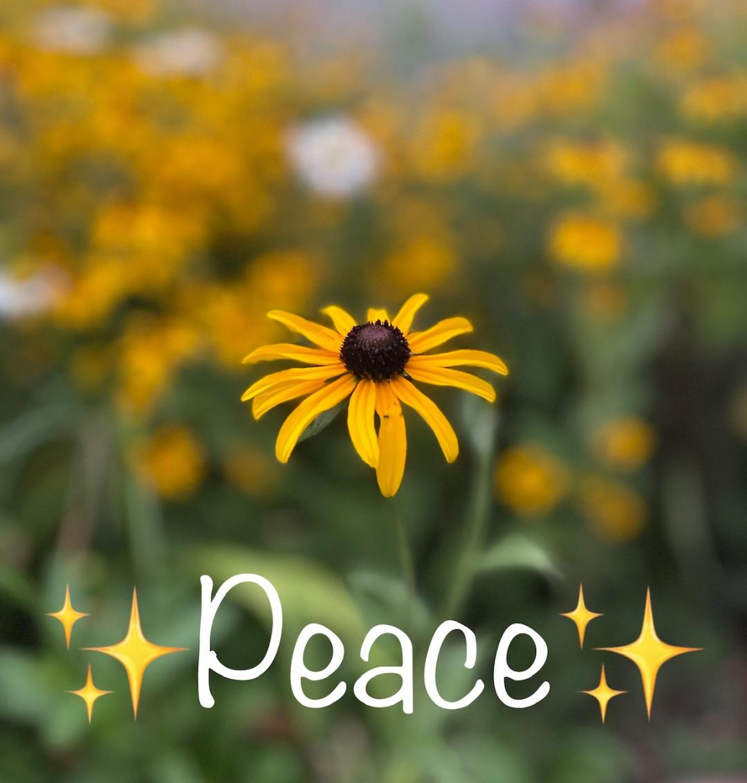 dugsir56's tweet photo. Good morning my dear friends. Wishing everyone an awesome day.  I love you all and will be back this evening💜☮️🤟✌️ https://t.co/QyxLGOKZS1