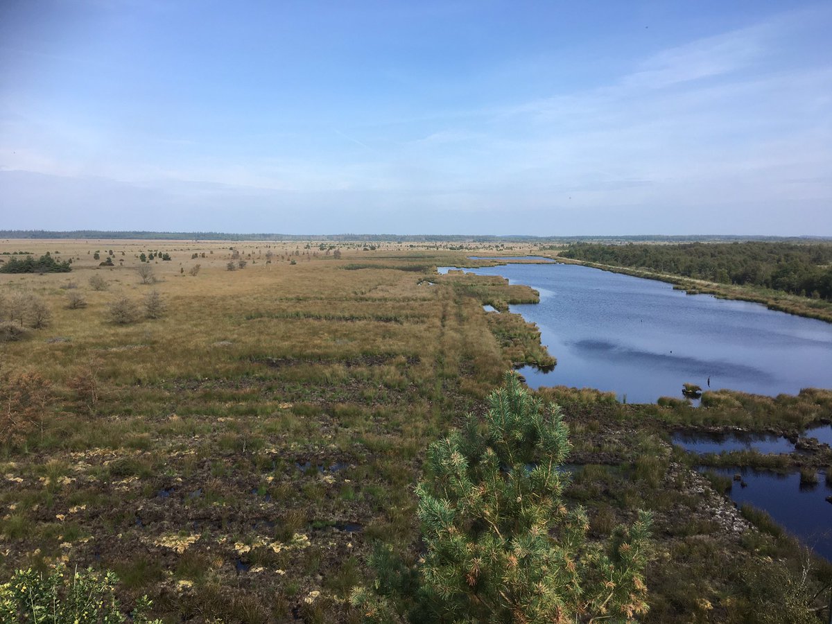 boswachterRB's tweet photo. Vanaf uitkijktoren #DeZeven heb je een mooi uitzicht over het #Fochtelooërveen https://t.co/Cbto7XwuIQ