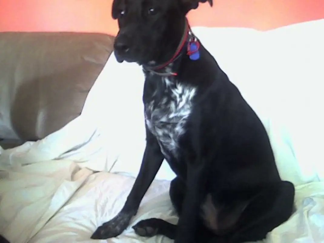 Mr. duck thoughts tweet media