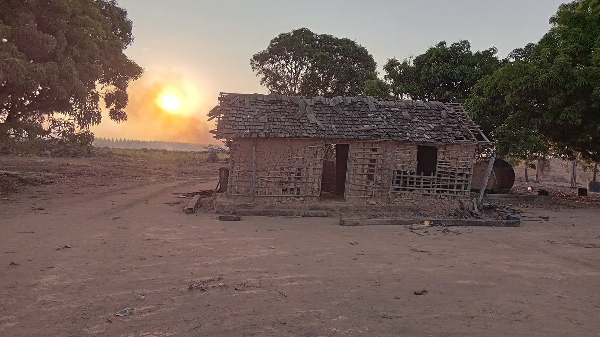Cenas do agrosuicídio maranhense.
Até 3 meses atrás nessa casa morava um camponês. O homem sofreu uma intoxicação enquanto aplicava agrotóxicos em sua propriedade. Faleceu 3 dias depois.
Os filhos, sem condições de tocar o lote, arrendaram para plantadores de soja. +
