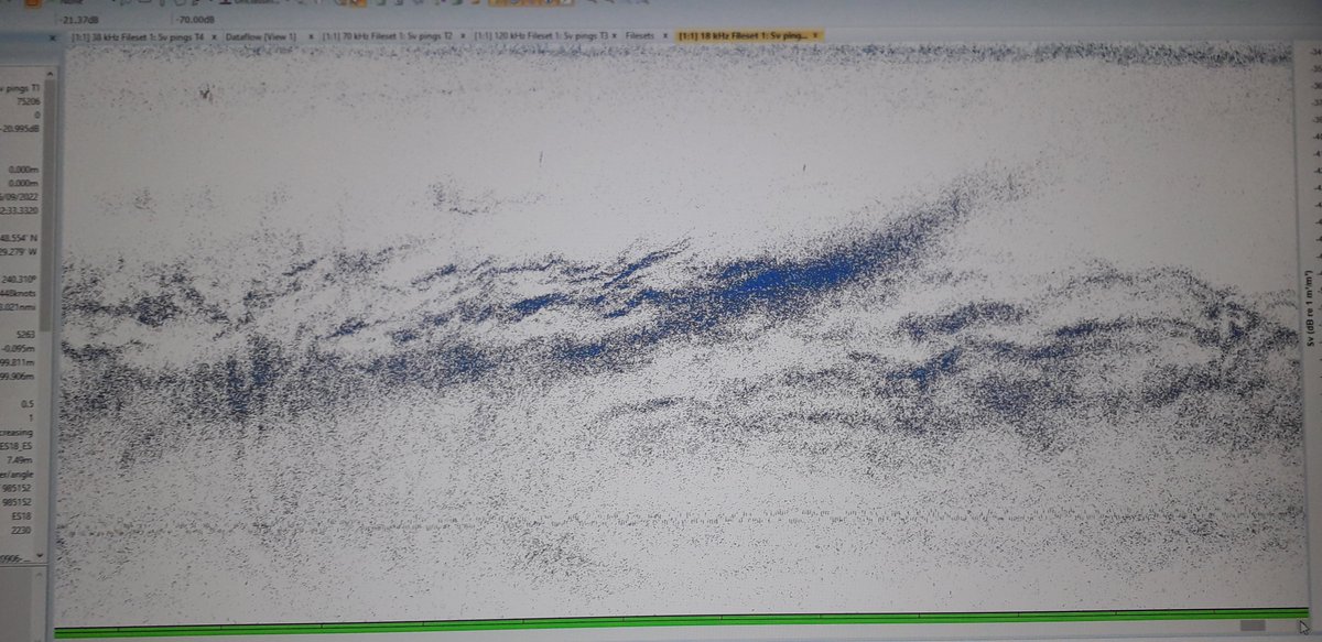 Thibault_Cariou's tweet image. Working 24/7 during the survey means that we can witness the dial vertical migration at dawn and dusk! The #M2S2 survey also integrated an #eDNA component handled by @MaddalenaTibone from @GMIT_Research. Will be interesting to see which species were missing from the catches!