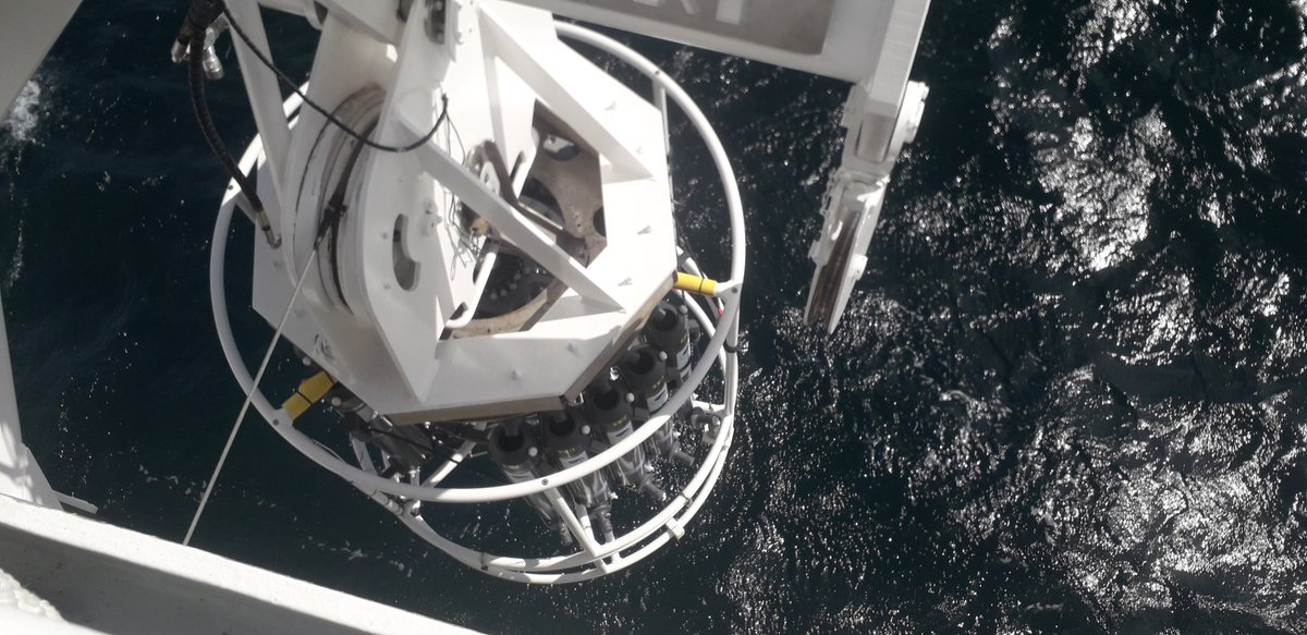 Thibault_Cariou's tweet image. Working 24/7 during the survey means that we can witness the dial vertical migration at dawn and dusk! The #M2S2 survey also integrated an #eDNA component handled by @MaddalenaTibone from @GMIT_Research. Will be interesting to see which species were missing from the catches!