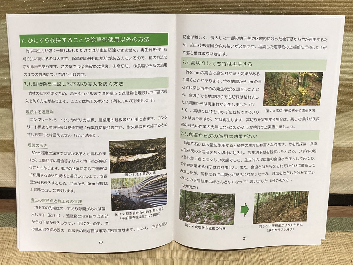 manami_iwamoto's tweet photo. 研修で京都に来た
竹についての噂をガチで検証してる有料級冊子が配られた
・高切りしても生えてくる
・除草剤は1ヶ月もすれば分解して消失
・隔年で伐採するのが最も低コスト
竹の駆除への執念、苦渋、情熱が伝わってくる名作でした https://t.co/qgOOyXO1pz
