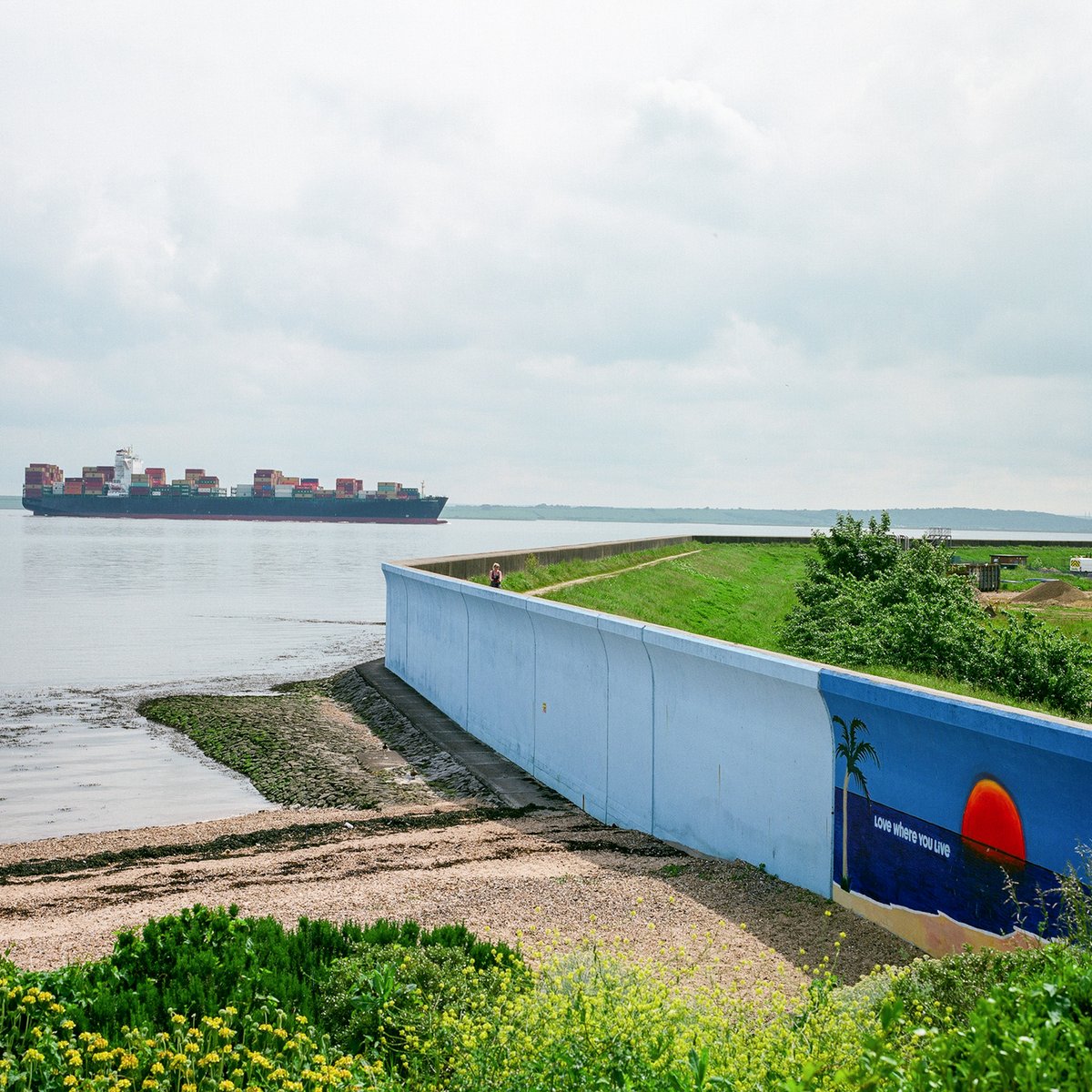 Thames Festival Trust tweet media