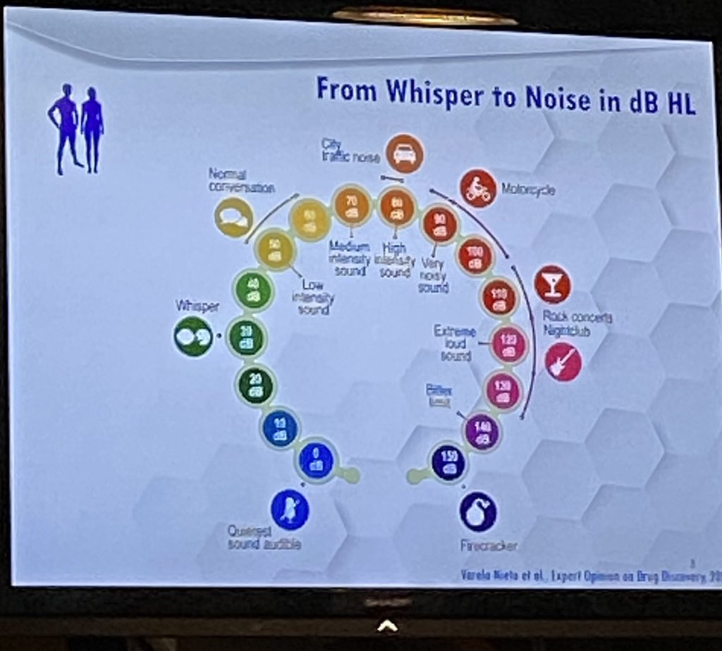 Session #NoiseInducedHearingLoss of the #IEB2022 is about to start with the target lecture #keyprocesses in #noiseinduced #hearingloss.                        Take a seat and enjoy!                                   #InnerEarBiology #Trieste #congress #meeting