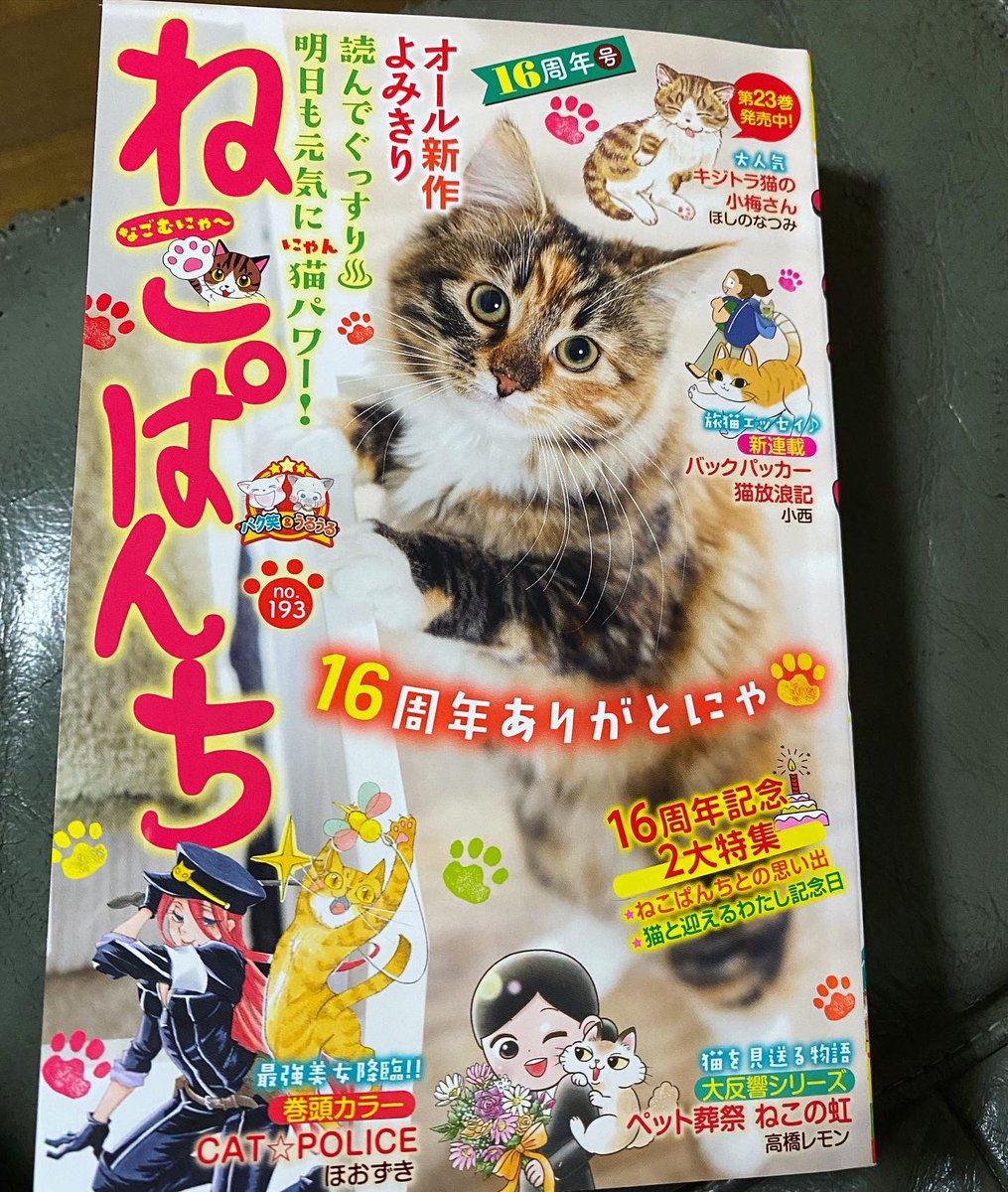 ねこぱんち16周年号、本日発売です。じっちゃんと猫は秋なので運動会。よろしくお願いいたします! 