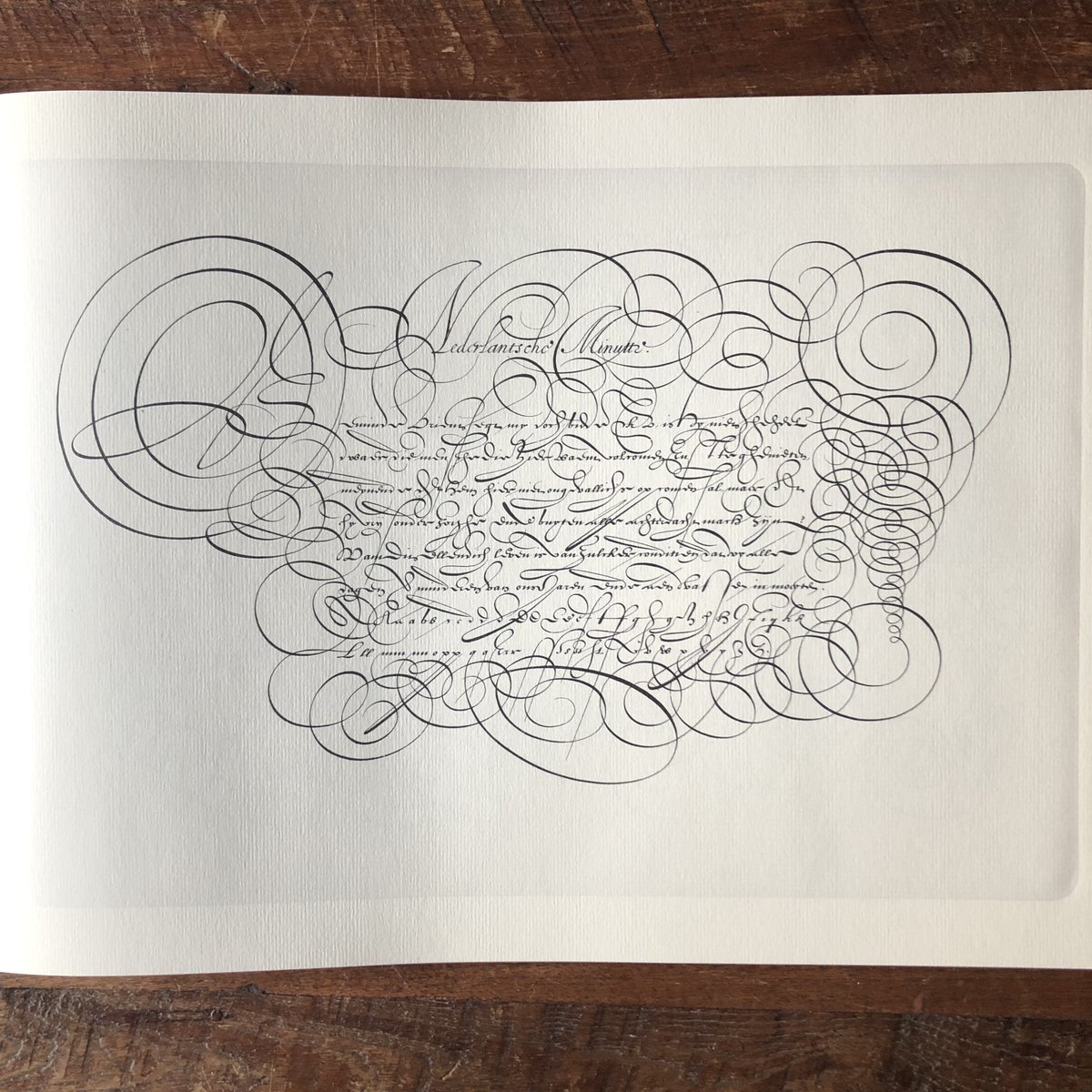 retypefoundry's tweet photo. Also very worth acquiring is the facsimile of Simon de Vries' Lusthof der Schrijfkonste. Another fine and well printed edition published by Brill in 1971. #Calligraphy #DutchType #Krulletters #Penmanship #copperplate https://t.co/MQjO1FmKRJ