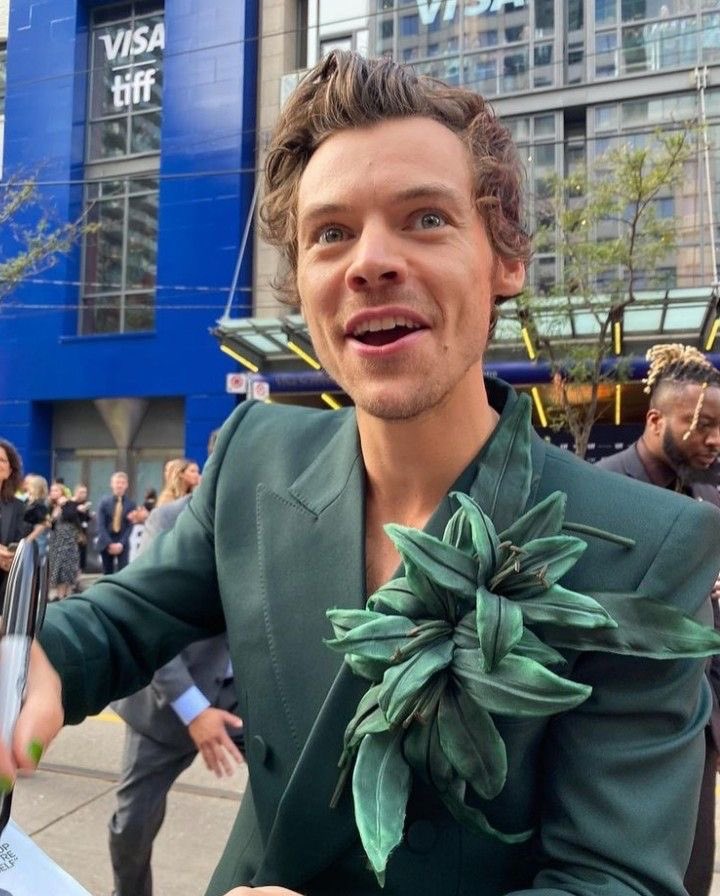 Harry Styles in 2017 and 2022 🌿