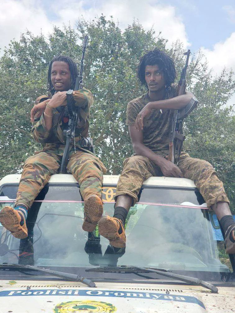 WBO Force 💖💚💖