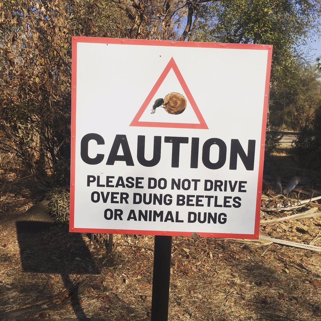 You know you’re in Africa,when you see this sign post.
.
.
.
.
#victoriafalls #birding #dungbettles #safari #photograpghy #canoeing #zambeziriver #travelwithus #kayaking #africa #riverbank 
#victoriafallscanoeingcompany #zimbabwe