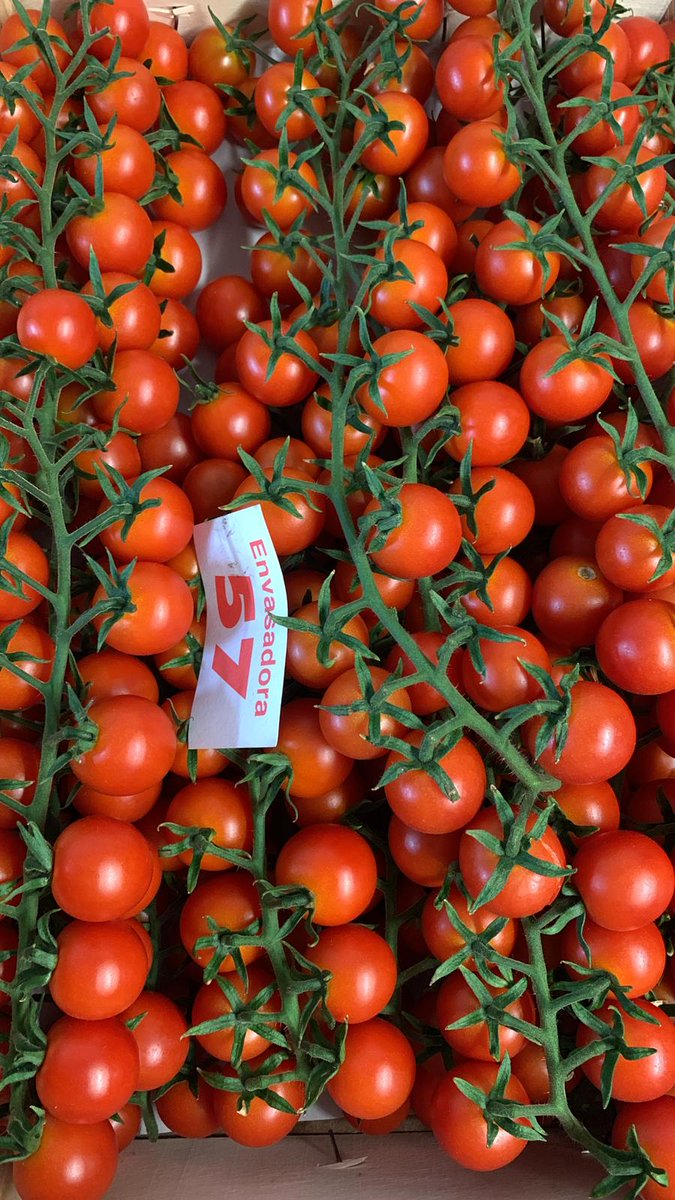 Courgettes✅, Red Habaneros 🌶️and Cherry Vine 🍅now with us🚚! Place your order 🗒️and enjoy our products😋! #NicolasGarden #Cherrylicious #Chillicious