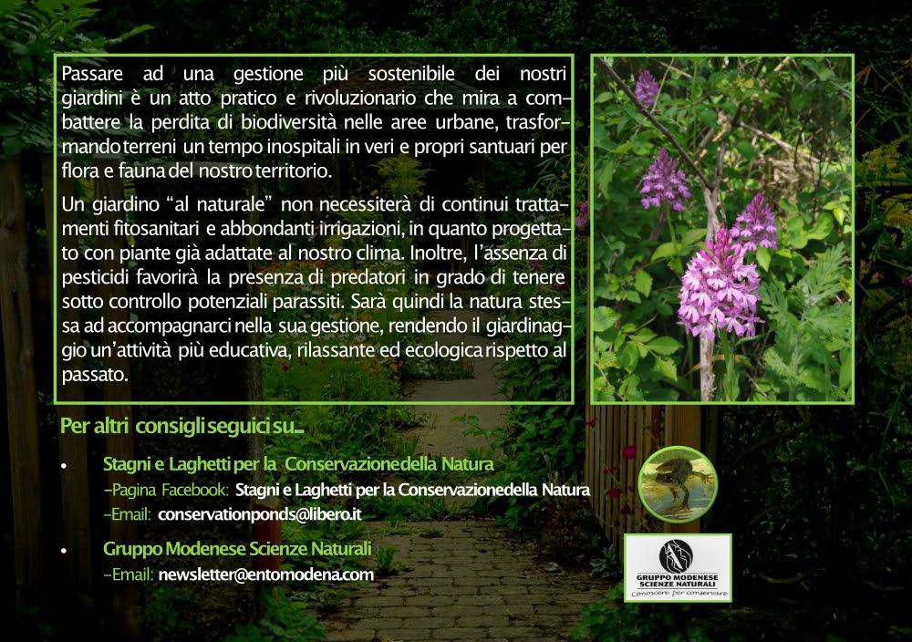 GMSN_Entomodena's tweet photo. A #Entomodena visita il tavolo del Gruppo Modenese Scienze Naturali aps per conoscere le iniziative della nostra Associazione. Troverai, tra le altre cose, consigli su come rendere più #sostenibile il tuo #giardino e un questionario sul declino dell'entomofauna in Italia. https://t.co/WEcybsiisH