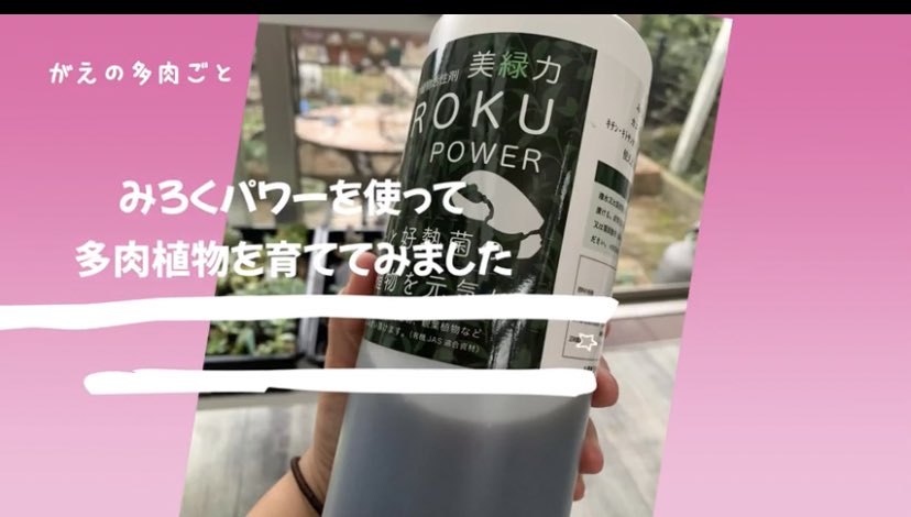 gaetaniku's tweet photo. これは凄い‼️みろくパワーを使って多肉植物を育ててみました https://t.co/9UfZPLNtkj @YouTubeより
実験好きなおばちゃんは……

面白いものを手に入れました
๑ ᷇ 𖥦 ᷆๑)♡
宜しかったらご覧下さい
RTして下さると嬉しいです https://t.co/p0SQkQJHuO