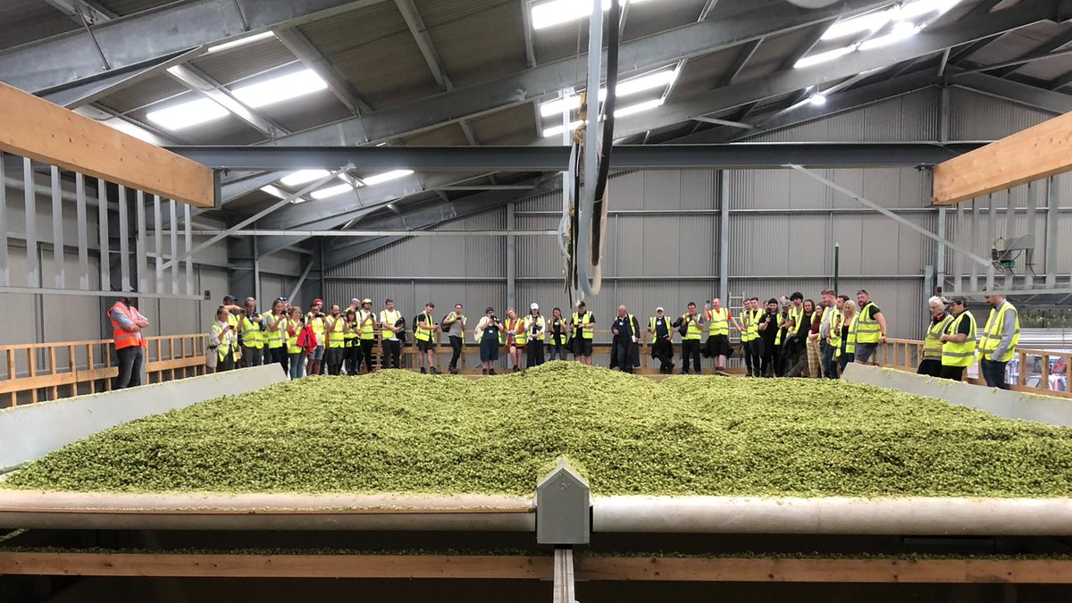Thanks to the hundreds of brewers who came to our hop walks last week. We were blessed by the weather, the hops look and smell amazing, and your kind feedback and support will help us continue to produce the very best hops we can. Cheers! 🍻
#harvest2022 #britishhops