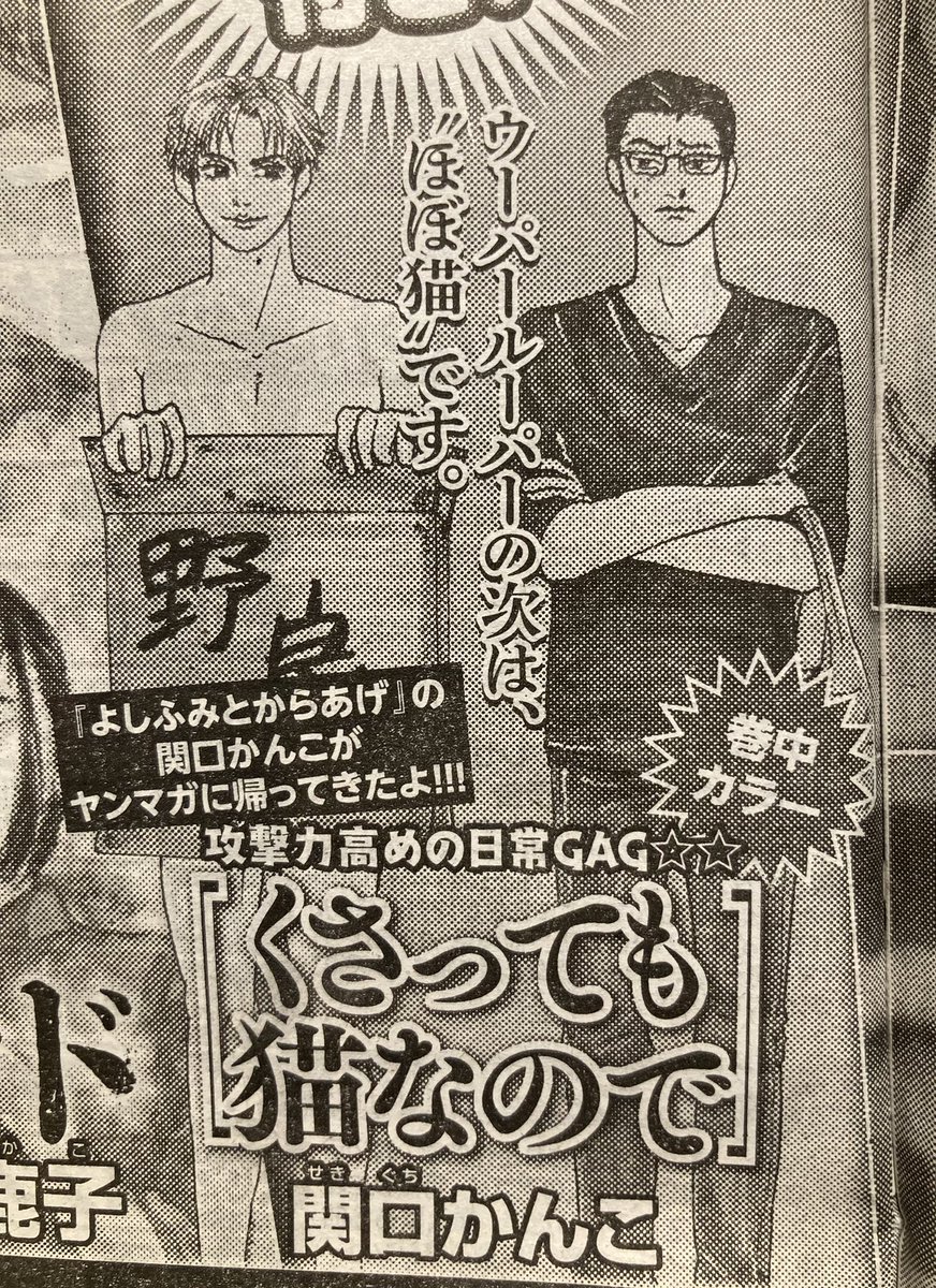 そういえば予告が出たのでお知らせ!来週月曜が祝日のため今週金曜発売のヤンマガ42号から新連載が始まります!発売日に改めてお知らせしますが今回はねこを描かずにねこ漫画を描きます!!(笑)
それにしても3年ぶりに7日に一回締切が来る生活が始まるよぉ〜週刊連載怖いよぉ〜🦀🦀🦀 