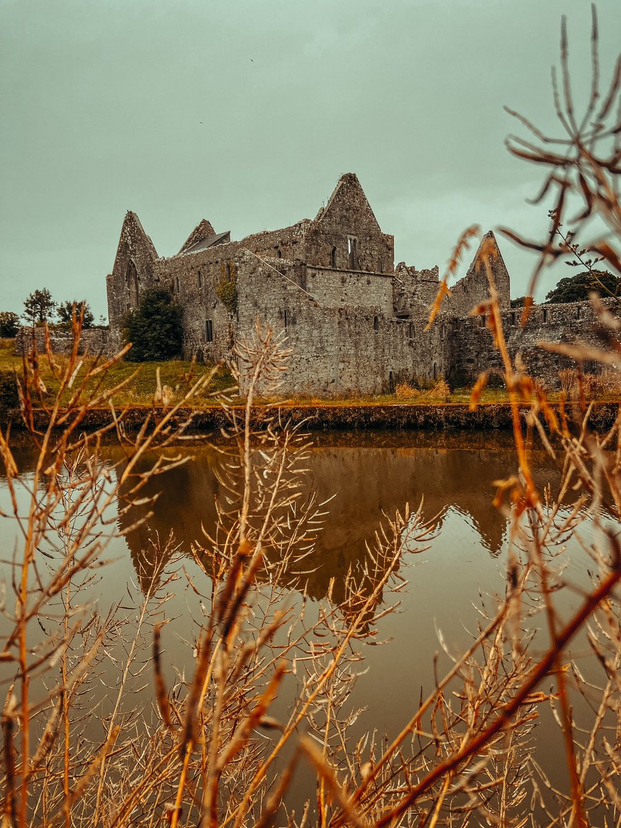 #Askeaton Abbey as the seasons change 🍂

#Limerick #Ireland