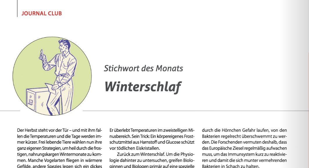 Lab_Journal's tweet photo. Warum verlieren manche Winterschläfer trotz langer Inaktivität kaum Muskelmasse? Bei gewissen Streifenhörnchen spielt das Stickstoff-Recycling aus Harnstoff mithilfe von Darmbakterien eine zentrale Rolle … 👉 Unser "Stichwort des Monats" von @Juliet_Merz: https://t.co/yQHZ9hQvpf https://t.co/V1Be7QTK2M
