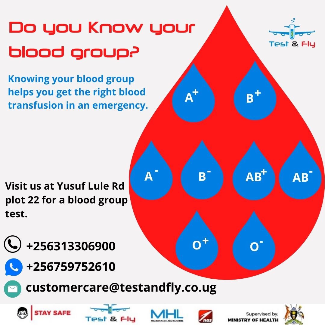 testandfly's tweet image. Knowing your blood group helps you get the right blood transfusion in an emergency.

It helps you know your donor type and also plan a healthy pregnancy.

For booking call us on +256313306900 or WhatsApp +256759752610
#TestAndFly #BloodGroup