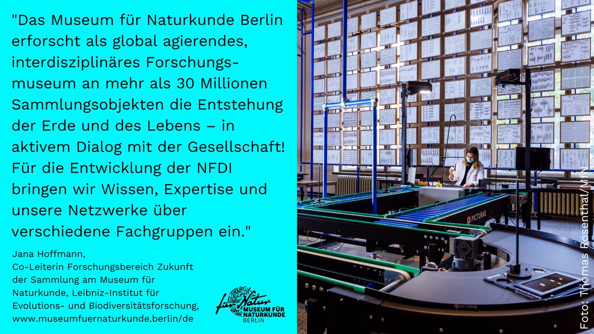 Unsere Serie #DatenvielfaltFürArtenvielfalt ist aus der Sommerpause zurück!🥳 Weiter geht es mit unserem tollen Partner @mfnberlin, vorgestellt von der Co-Leiterin des Forschungsbereichs Zukunft der Sammlung @Amphipodana. #NFDI4Biodiv #NFDIrocks <a href="/NFDI_de/">NFDI - @NFDI@nfdi.social</a> #Biodiversität