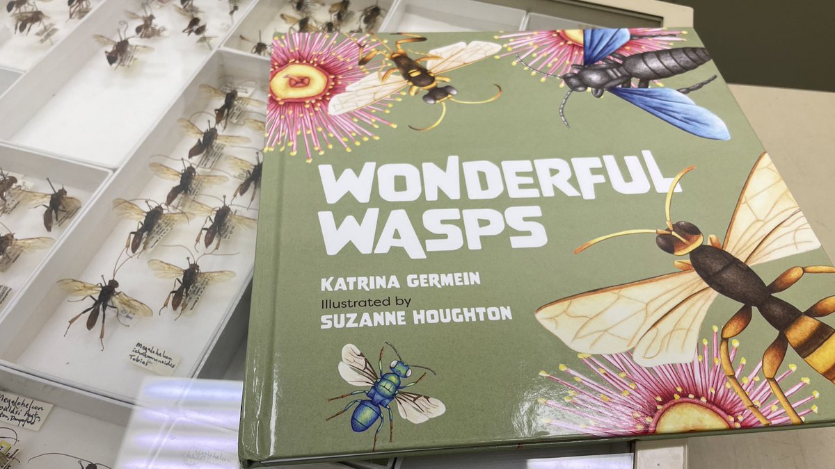 Erinn_FJ's tweet photo. Need a Christmas present for a young person? I highly recommend preordering this wonderful children’s book by @katrinagermein with illustrations by @SHoughtonBooks, all about our native Australian wasps! https://t.co/Jen5thB38E @CSIROPublishing #wasplove #entomology https://t.co/AKT6JaIUaP