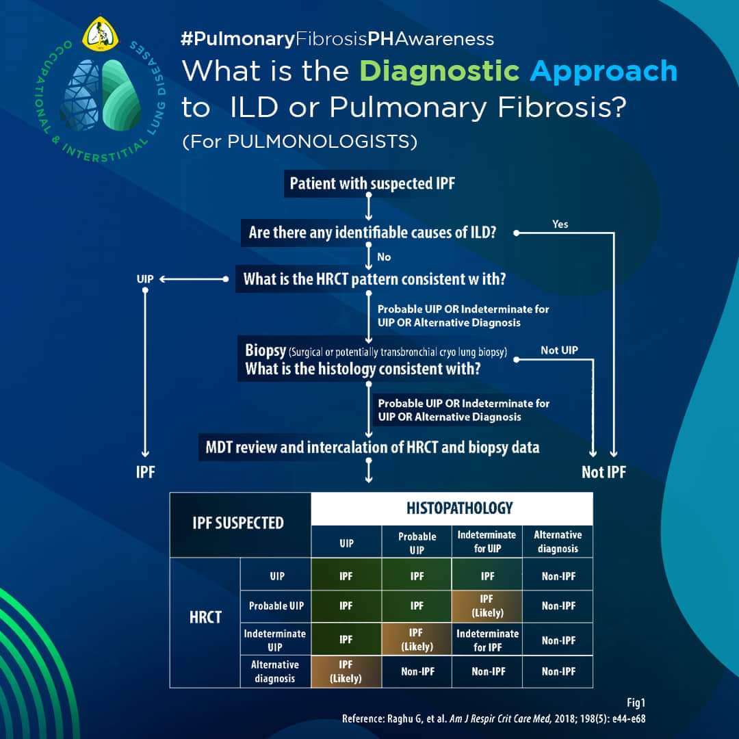 ildph2023's tweet photo. Diagnostic Approach of Pulmonary Fibrosis for the Pulmonologist
#pccp #pccpadvocacy #pccplungmonth #hingakalungs #pulmonaryfibrosisphawareness #healthylungaforeveryfilipino https://t.co/XupX4X9ll6