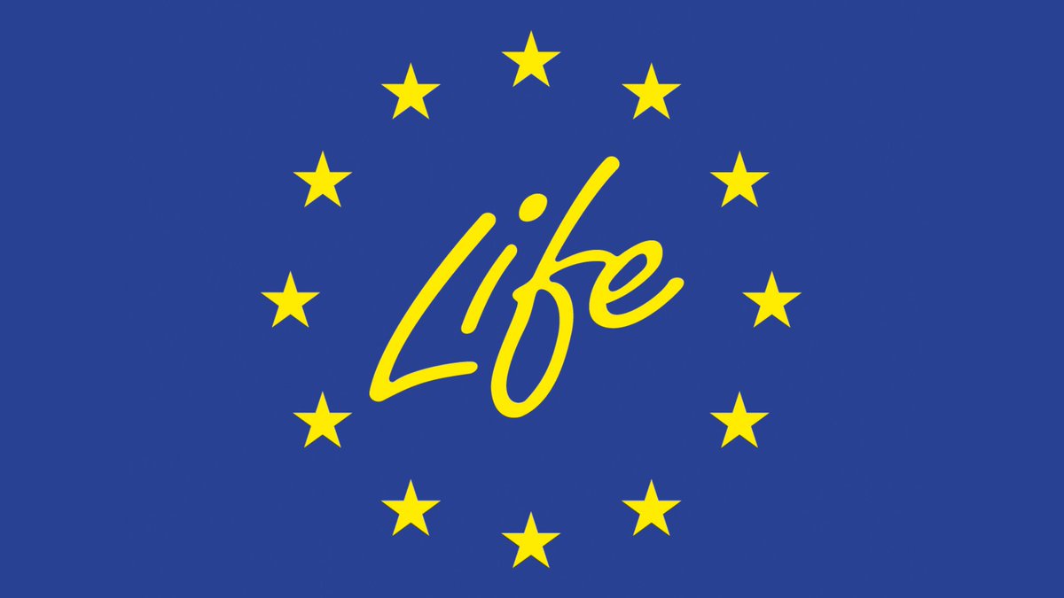 🔵🟡 The EU #LIFE programme is hiring!

They are looking for a dynamic energy professional to join them as a Project Adviser on LIFE's Clean #EnergyTransition team.

⏳ Apply by the 30th September!

More info 👉 managenergy.com/node/1619 

#greenjobs #EUjobs #CINEAjobs
