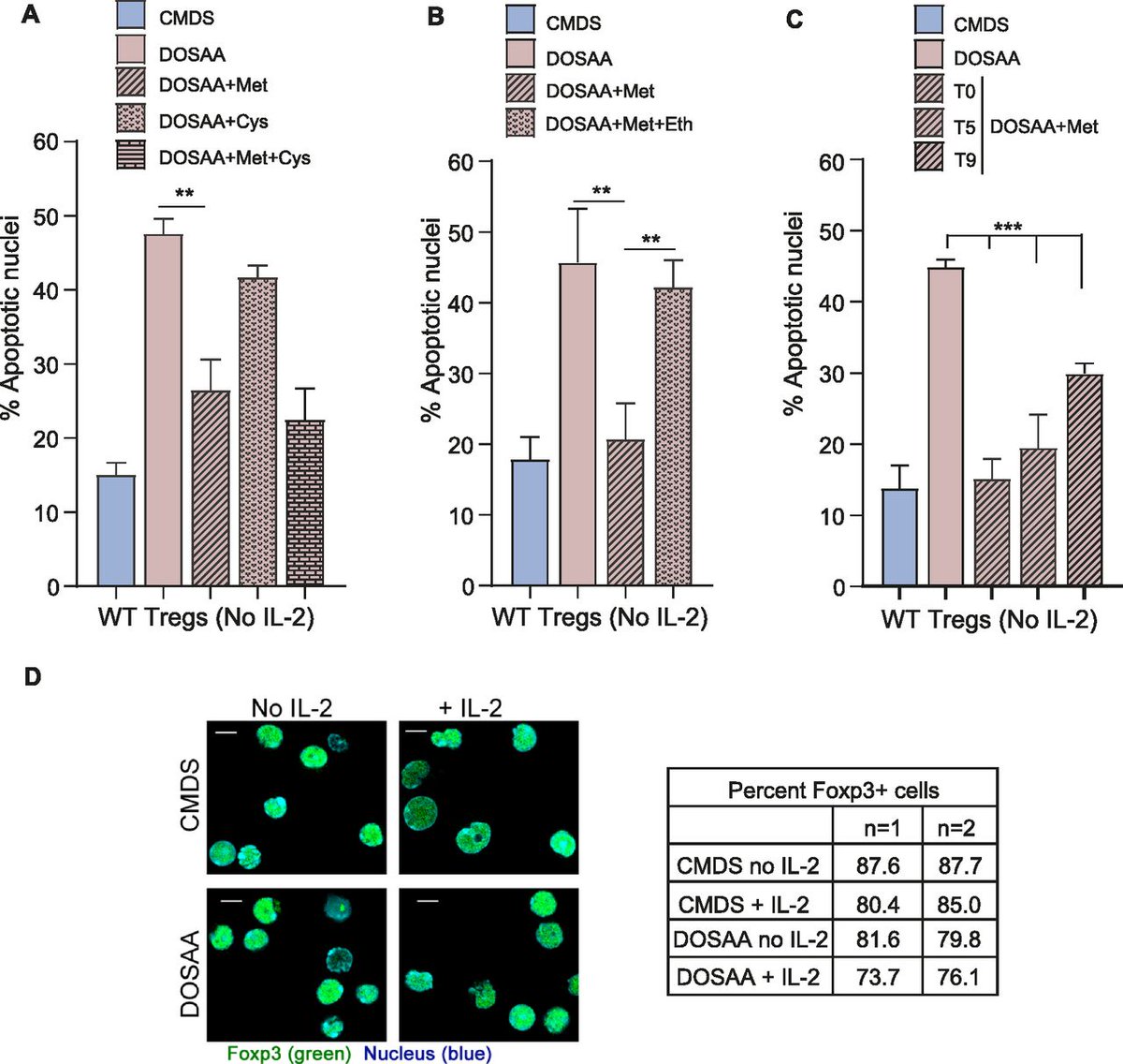 LSAjournal's tweet photo. Methionine is required for regulatory Tcell survival after cytokine withdrawal. @DBT_instem @neetusainiphd @AfsanaNaaz12 @ReviewCommons 

https://t.co/tgz6pubHFd https://t.co/bVMXKnTcs6