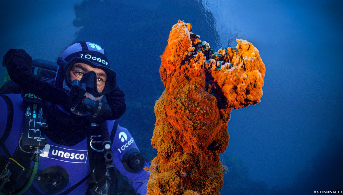 UNESCO_fr's tweet photo. 📢Le festival de photojournalisme @visapourlimage s’est achevé hier mais retrouvez l’expo d'@AlexisRosenfeld en ligne !
📸Issues des explorations #1Ocean menées avec l’UNESCO, ces photos racontent l’océan pour mieux protéger ce bien commun unique.
https://t.co/gF2BRTch5r https://t.co/AwVRcqApbL