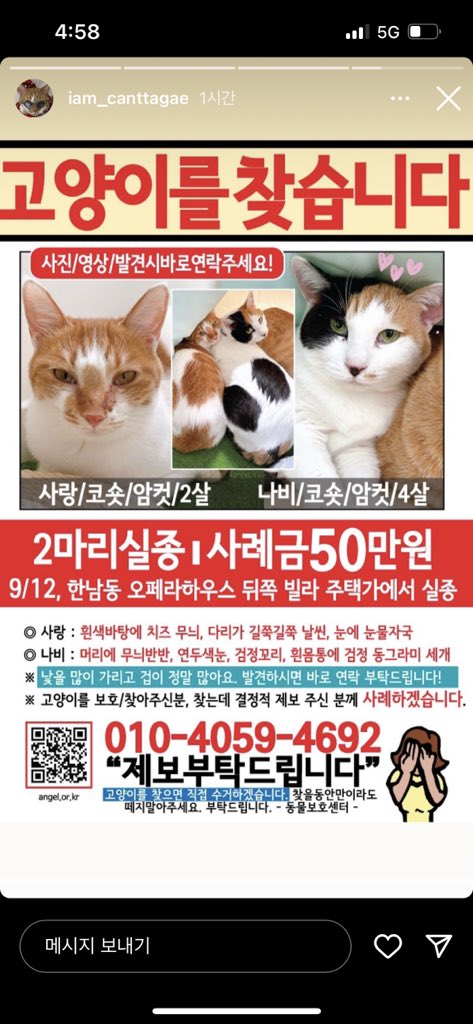 토란토미호프꿀벌네 tweet media