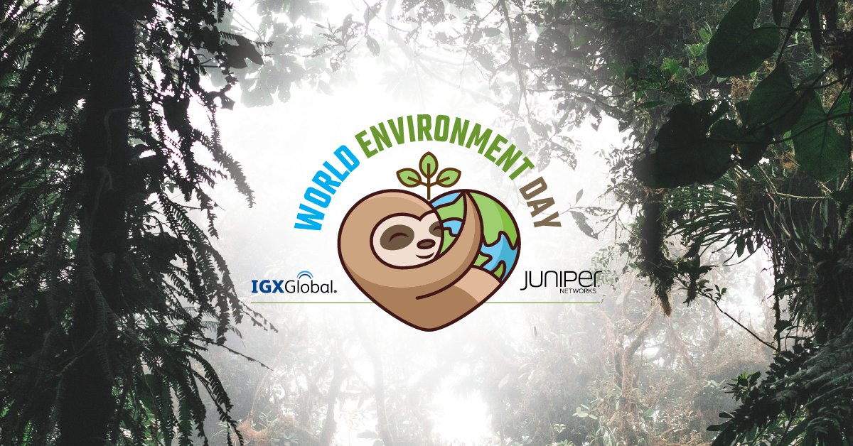 IGXGlobal tweet media