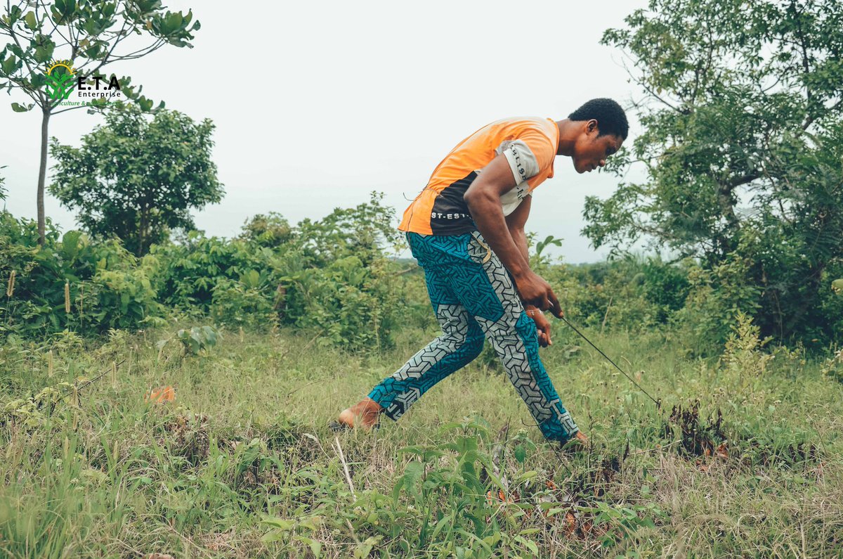 ETA_enterprise's tweet photo. "Let go of your old tired habits and plant new habits in fertile soil." ~Harley King
Let go of what is holding you down to own a Farmland Asset!
Farm with us from your comfort zone.😇
Happy New Week💥
#NewWeek #Farming #agriculture #FarmAsset #FarmManagement #FarmDevelopment https://t.co/JgFG48He8L