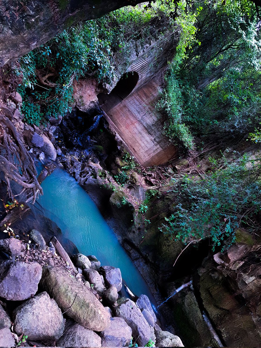 hikersarena's tweet photo. When they are rich in minerals, the waters glow.
#hike #hiking #nature #mountains #adventure #travel #explore #naturephotography #outdoors #landscape #hikingadventures #photographer #wanderlust #naturelovers #getoutside #getinthearena #hikersarena #Watercolor #magicalkenya https://t.co/FpNR3IuGlV