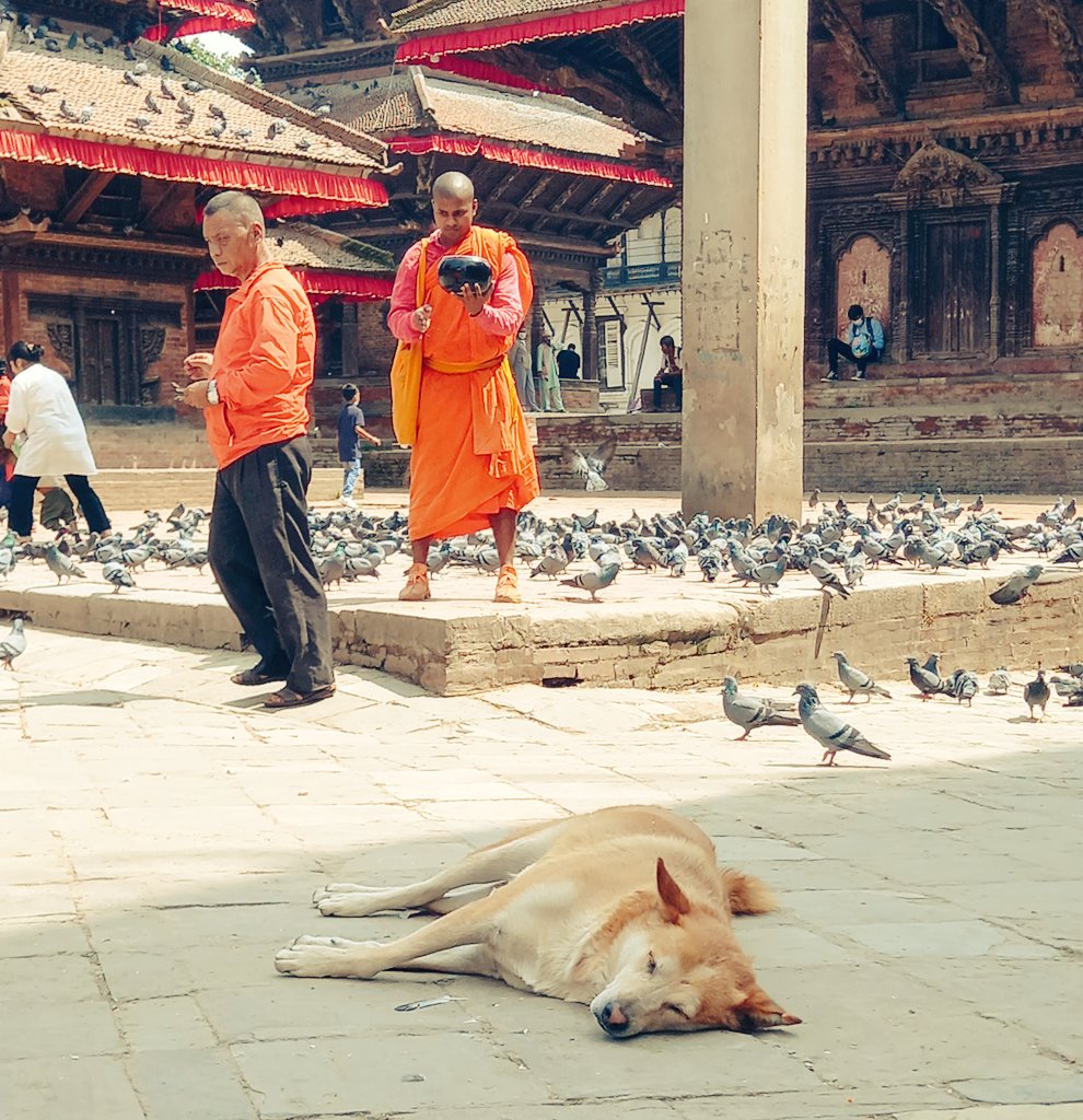 Giovanni Vassallo tweet media