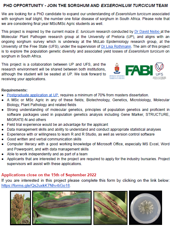LandbouLisa's tweet photo. We have updated the advert - please note if you are completing your MSc/MSc Agric degree this year, you are also eligible for this opportunity to work with @dnsibo22 and I.
#sorghum #leafblight
Please complete this form:
https://t.co/ymCqqnN3GX https://t.co/j3rtvU2bwh