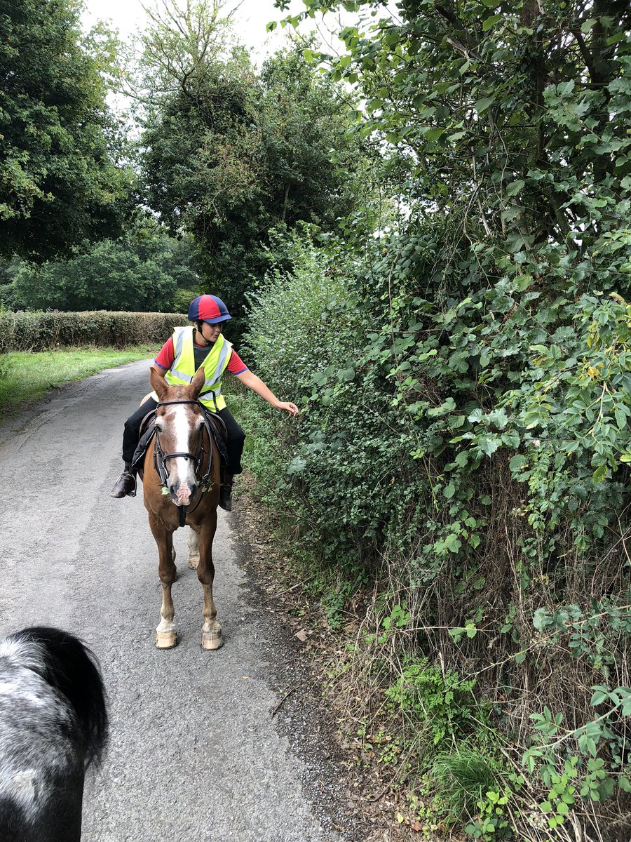 A spot of blackberry picking for us and the ponies on the first Sunday boarders hack of the school year

 #BlackBerry #foraging #happyhackers #AutumnVibes
