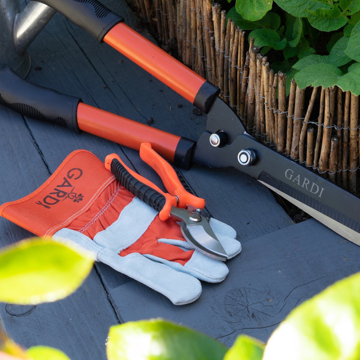 We have a great selection of #garden tools for our customers to use.

Including #shears, #Gloves, #Forks to name a few.

Visit gardigardening.co.uk today.

#gardeningtwitter #gardening #gardenlife #gardeningtools #gardeninglife