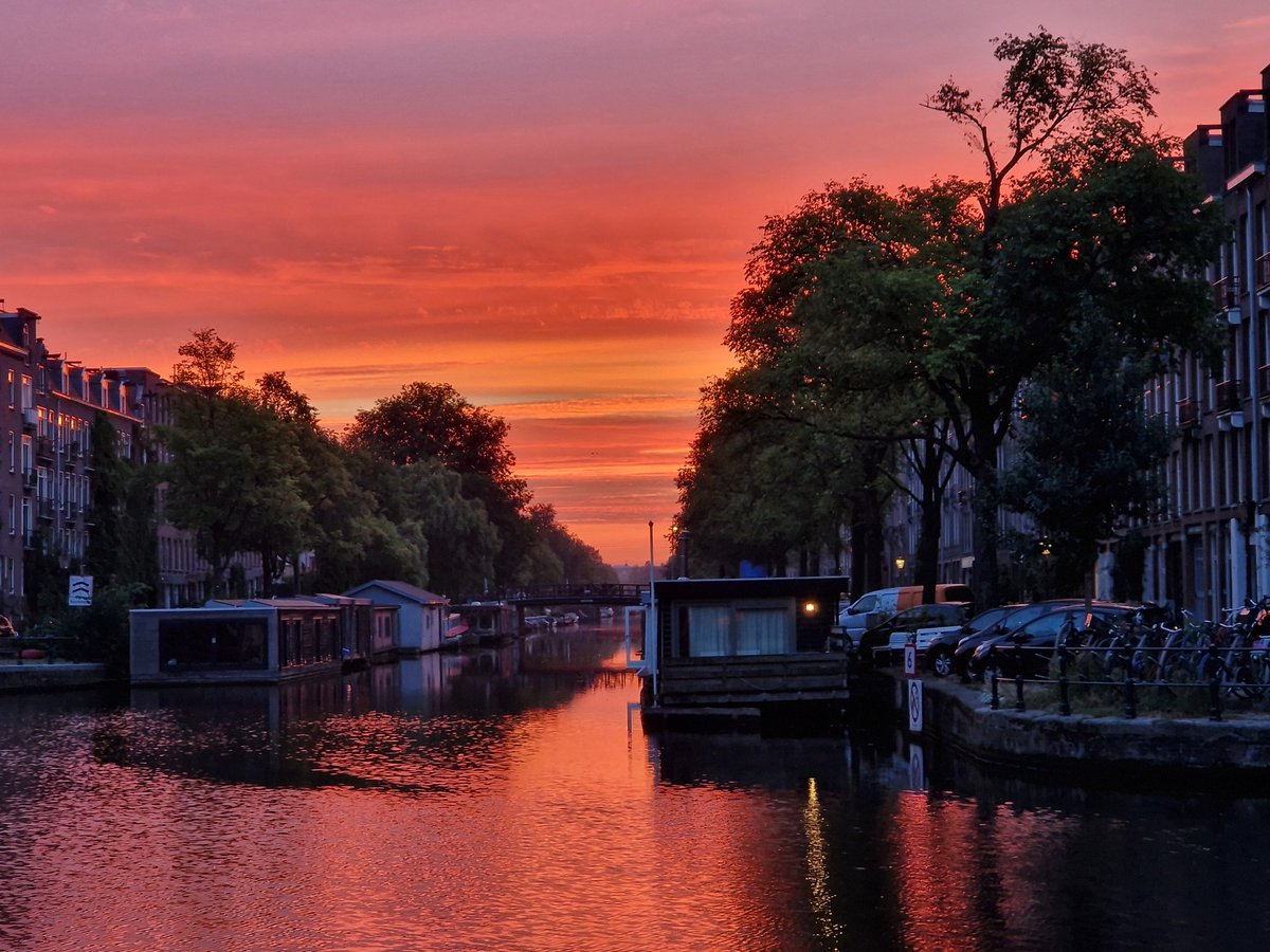 Ik had niet echt zin om naar mijn werk te gaan, maar toen ik langs de gracht fietste en dit zag werd ik toch heel blij!