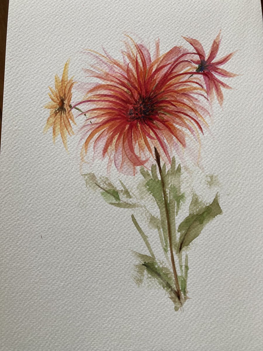 Mumbleys's tweet image. Had a go at painting without a pencil outline #watercolour